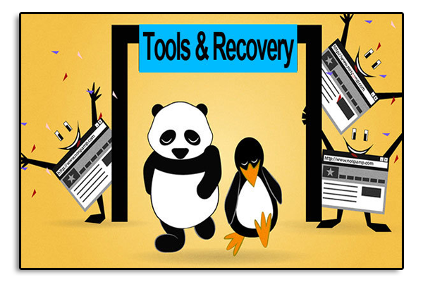 Google Panda And Penguin Recovery